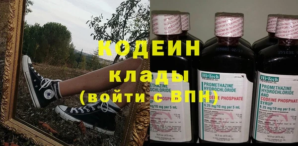 шишки Белоозёрский