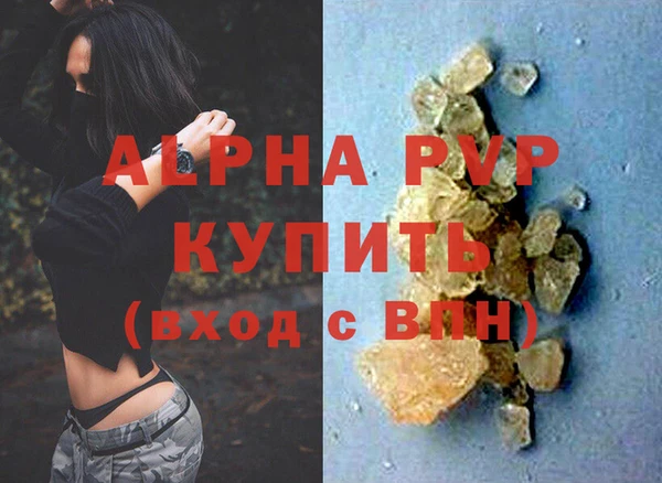 шишки Белоозёрский