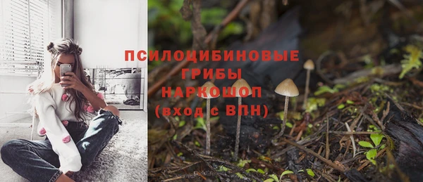 Альфа ПВП Беломорск